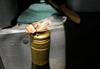 /album/photogallery/p1310283-jpg/